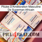 African Superman Male Enhancement Pills kamagra1